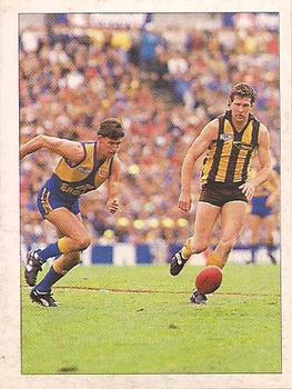 1992 Select AFL Stickers #258 Brett Heady / Chris Mew Front